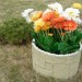 Цветник КАНЬОН купить в Сургуте