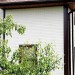 Фасадная панель Grand Line Сланец молочный купить в Сургуте